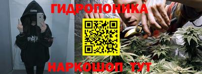 ГАЛЛЮЦИНОГЕННЫЕ ГРИБЫ Славгород