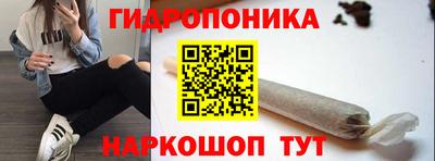 ГАЛЛЮЦИНОГЕННЫЕ ГРИБЫ Славгород