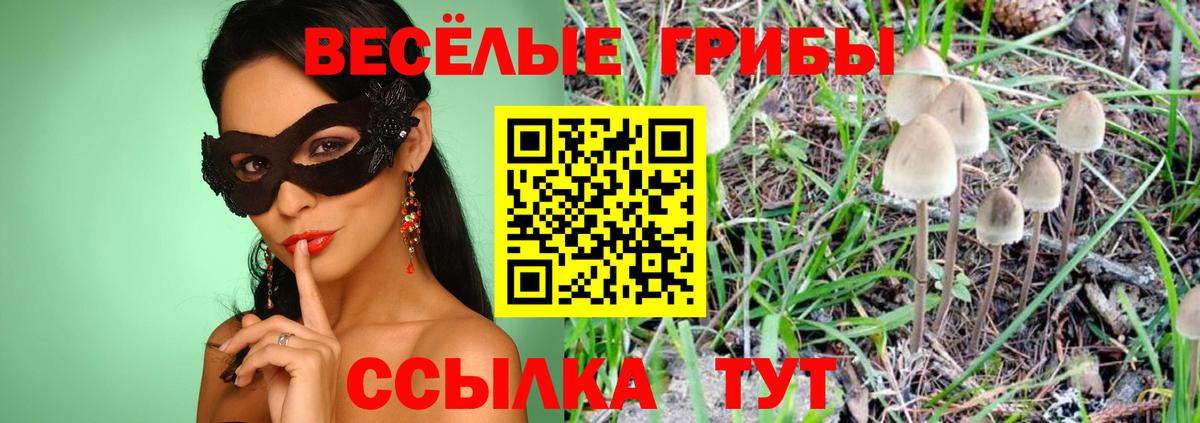 Галлюциногенные грибы MAGIC MUSHROOMS Новый Уренгой