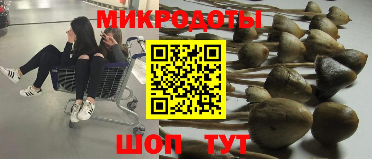 Новый Уренгой  Псилоцибиновые грибы мухоморы  Вход с VPN 